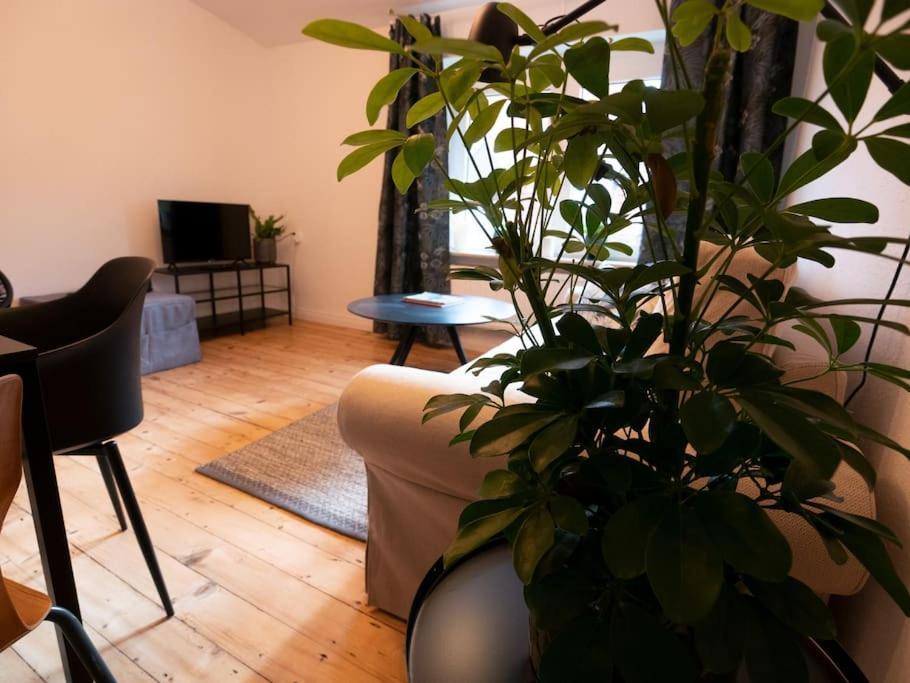 Natuerlich Mit Stil - 24-7 Und Check-In Apartamento Kiel Exterior foto